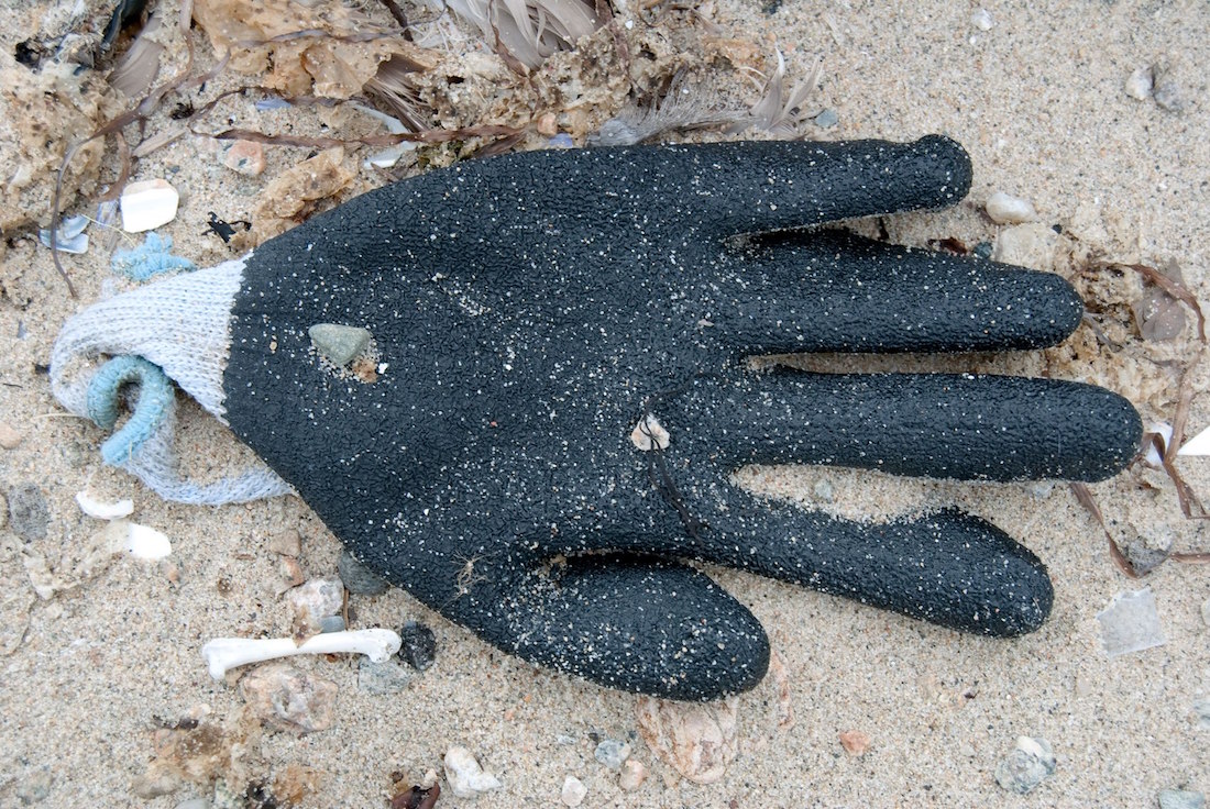 beachglove_0143