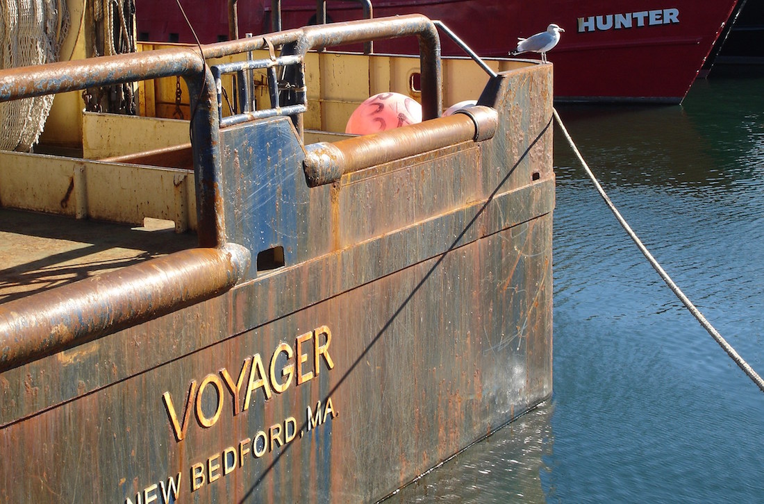 seagull-on-boat-1027-2017_01580