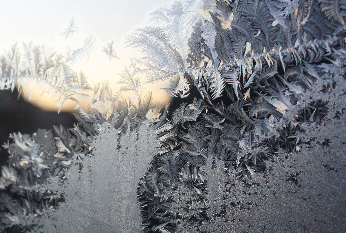 frost pattern on window, 2019