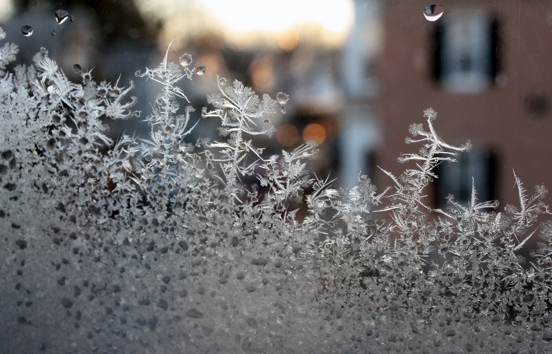 early morning frost 2019