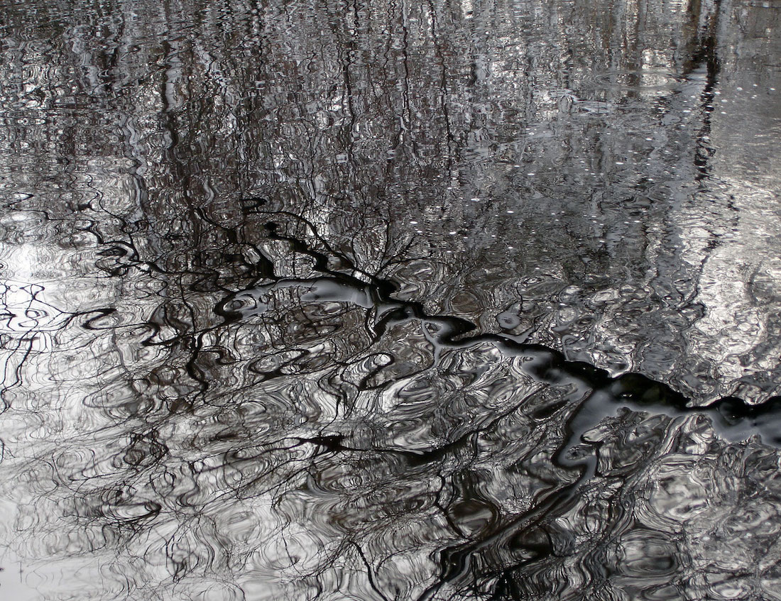 reflections_201602_09668