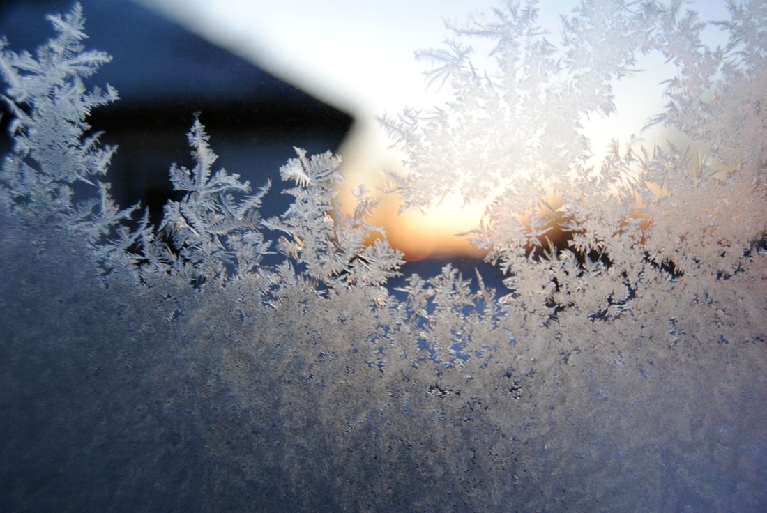 January window view 2014